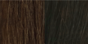 fraishair06