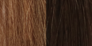 fraishair09