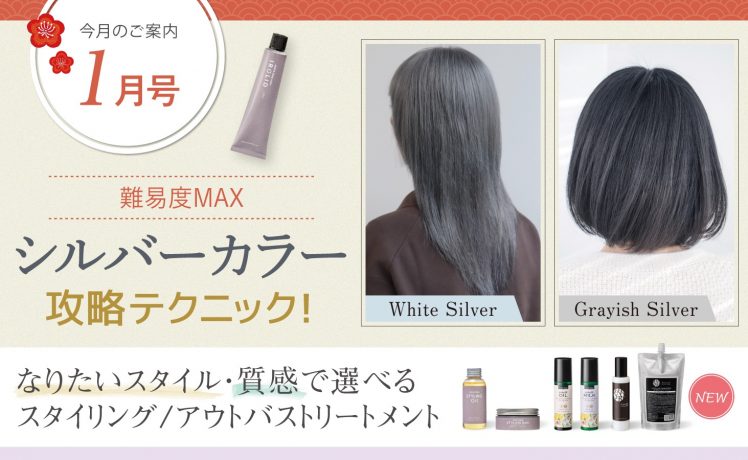 【今月のご案内1月号】シルバーカラー攻略テクニック＆選べるスタイリング/アウトバストリートメント